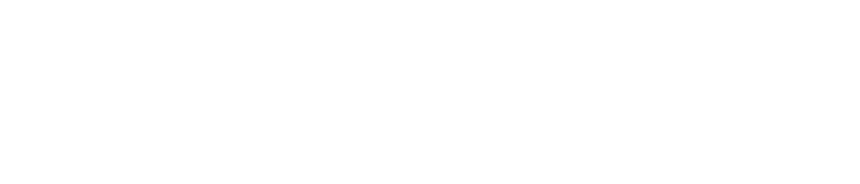 NETIVE